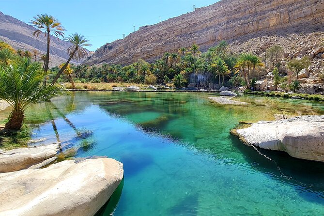 Full-Day Private Wahiba Sands Desert and Wadi Bani Khalid Tour - Who This Tour Suits Best, and Who Might Want a Different Style