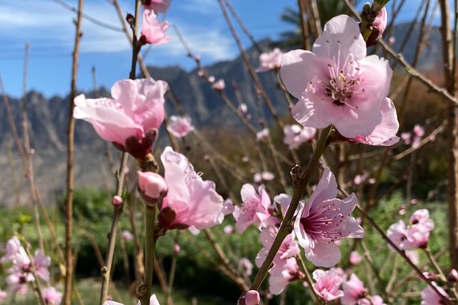 Full Day Tour from Wakan to Jebel Akhdar Trekking - Price and group size: when this trek is good value
