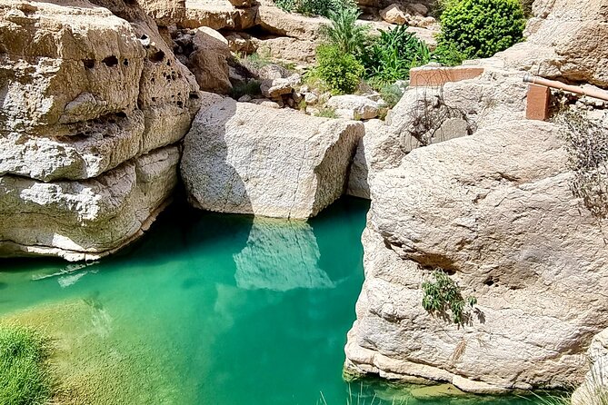 Full Day Tour in Wadi Shab - What you get for $236, and why it may or may not be a fit