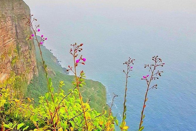 Full day west tour of Salalah - Why This West Salalah Route Works So Well