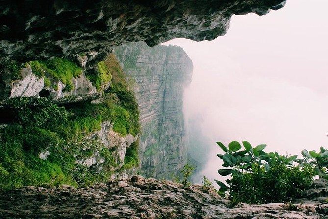 Full day west tour of Salalah - Frankincense Trees and Flower Honeybees: Culture You Can See