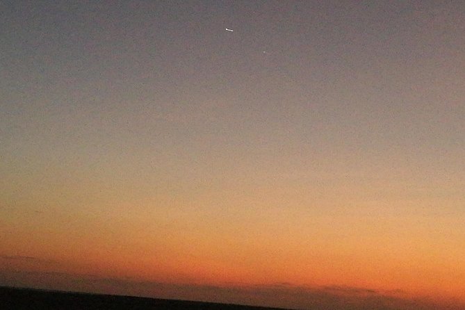 Golden Dunes Getaway: Overnight Safari in Salalah’s Empty Quarter - Wadi Dawkha frankincense forests, where the tour starts to make sense
