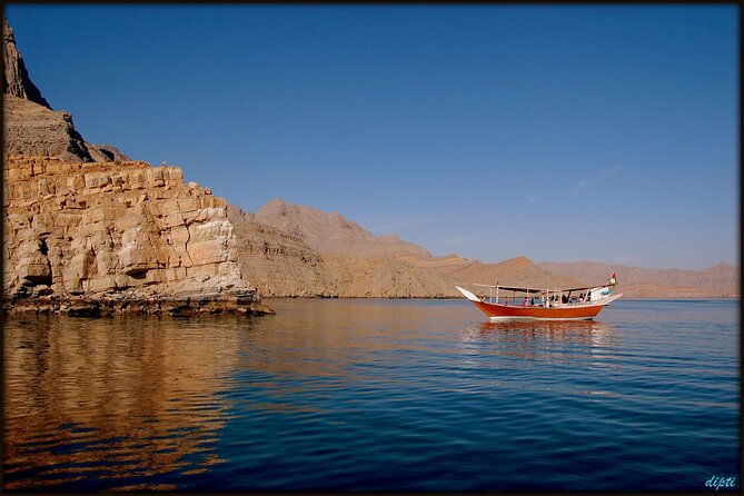 Half Day Dhow cruise to Telegraph Island (Shore excursions) - Dolphins and the marine life “parade” moment