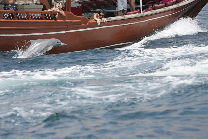 Half Day Dolphin Watching Musandam Dhow Cruise - Why Musandam dolphins from Khasab feel different than a quick day tour