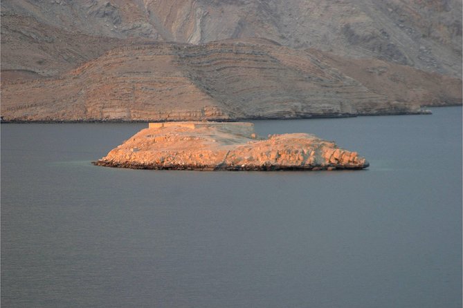Half Day Dolphin Watching Musandam Dhow Cruise - Timing and how to plan your morning in Khasab
