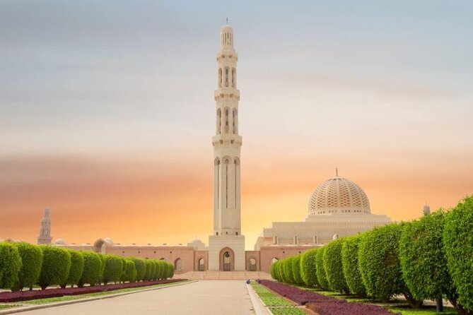 Half Day Private Muscat City Afternoon Tour - Practical tips for your afternoon in Muscat