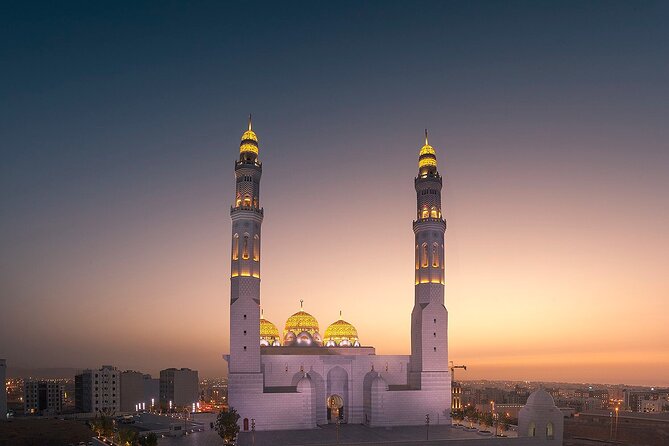 Half-Day Private Muscat City Tour 4 Hours - Price and value of a private 4 to 5 hour route