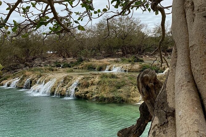 Half-Day Private Salalah East Tour - Key highlights to look for