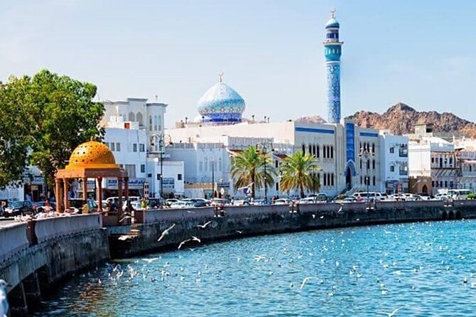 Half-Day Private Tour in Muscat City Oman - Private pickup and a 4-hour Muscat game plan