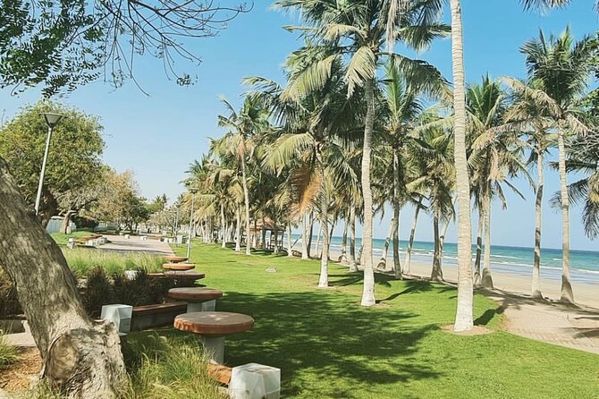 Half-Day Private Tour in Muscat City Oman - Price and logistics: is $145 per group a good deal?