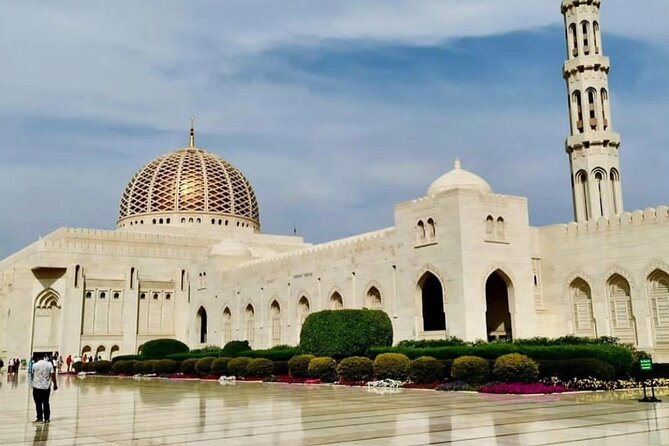 Half-Day Private Tour in Muscat City Oman - Royal Opera House area and ministries roads: culture you can see from the car