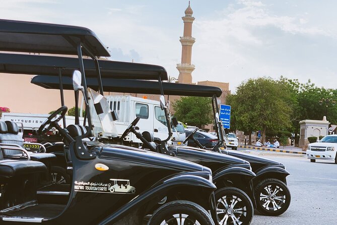 Heritage private Tour by classic carts - Price, Time, and What You Really Get for $10.50