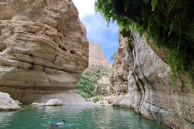 Hidden Gems of Oman: Sinkhole, Fins Beach & Wadi Tiwi Adventure - Transport and Guide Quality: Why the 4WD Matters