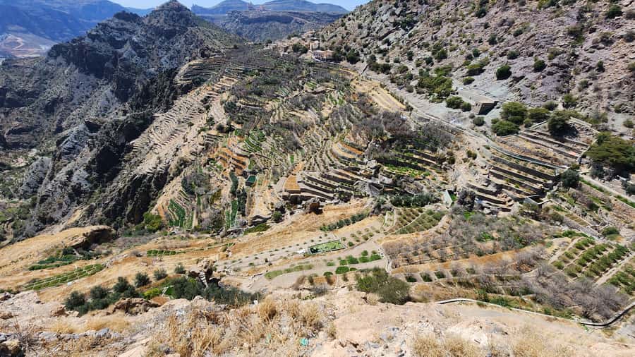 Historical City of Nizwa - Mohammed as Your Guide: Friendly Explanations You Can Use
