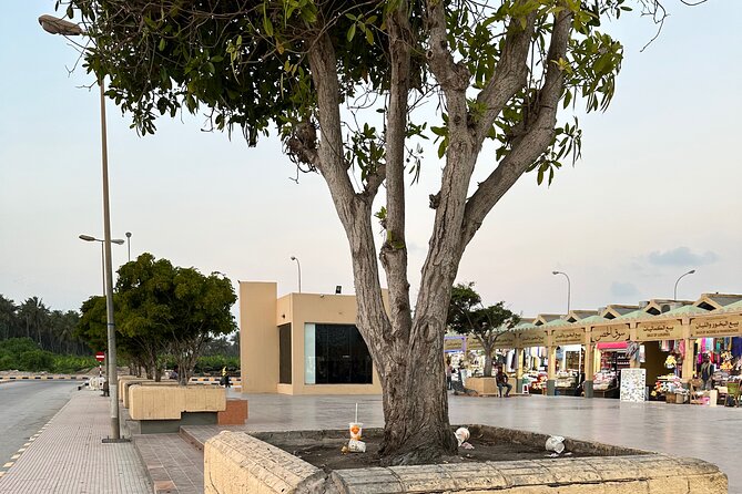Historical Salalah City Tour - Ain Razat and the fruit plantation drive back toward your hotel