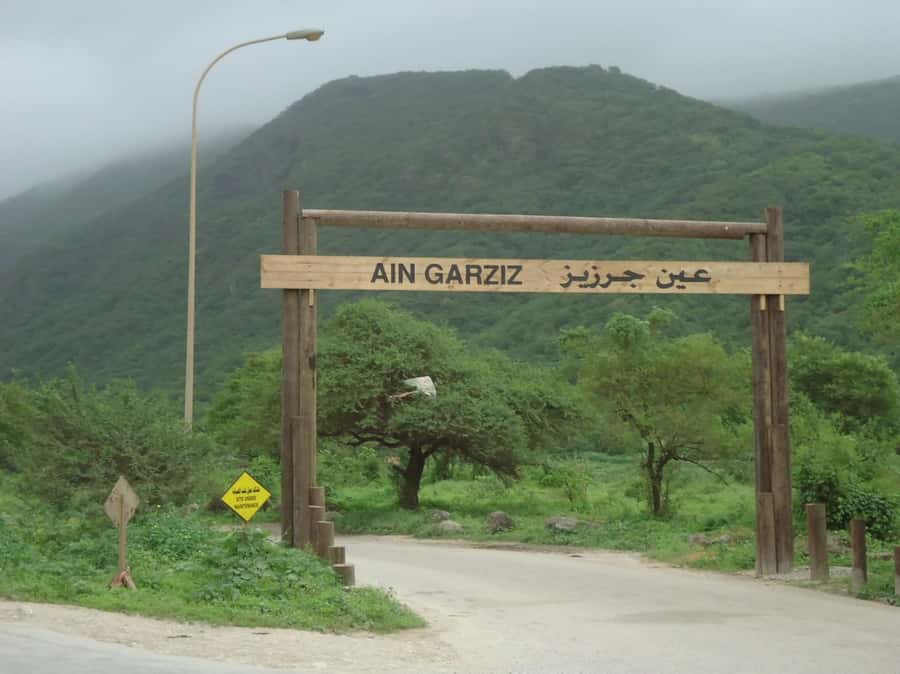 Historical Salalah City Tour with Culture, Food & Shopping - Haffa Souq and Souq Al hisn: frankincense, bakhur, and local crafts
