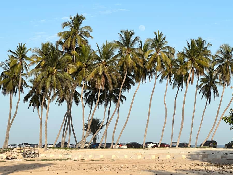 Historical Salalah City Tour with Culture, Food & Shopping - Sultan Qaboos Mosque: big views, calm rules