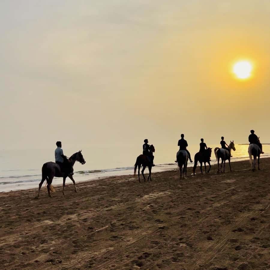 Horse riding in muscat beach - Key Things That Make This Beach Ride Worth Your Time