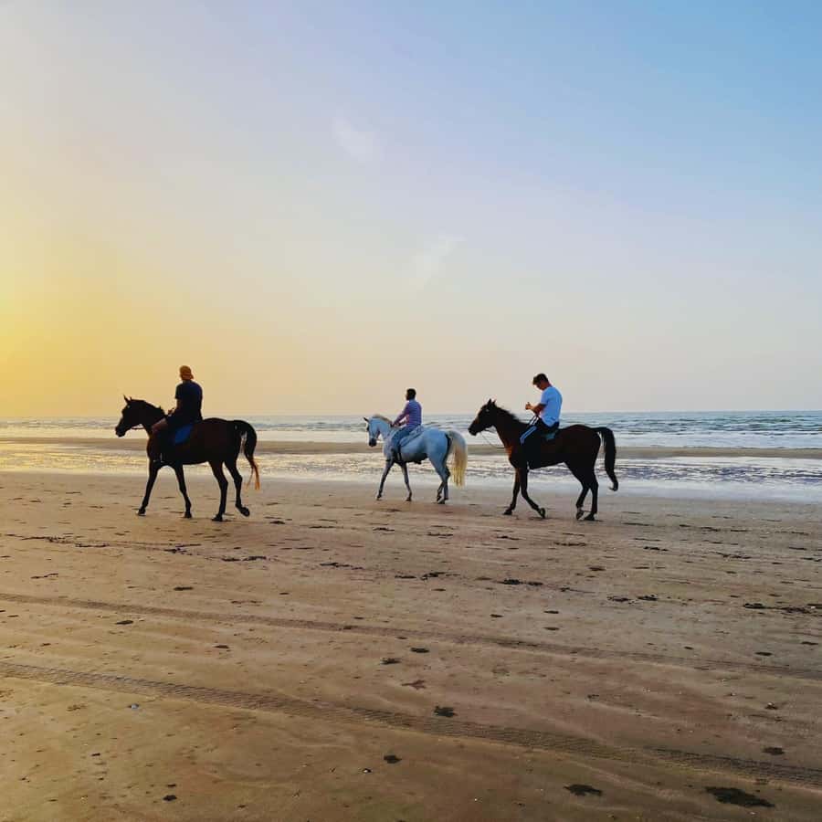 Horse riding in muscat beach - Why Muscat Beach Horseback, Specifically, Feels Different
