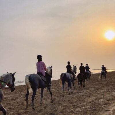 Horse riding in muscat beach
