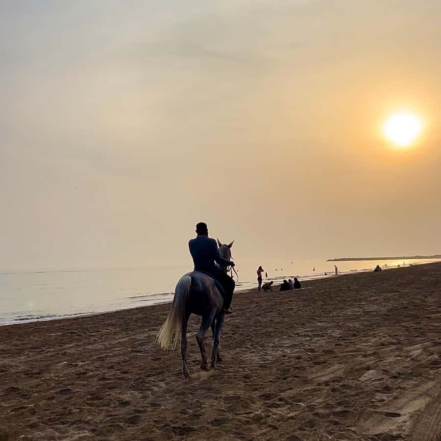 Horse riding in muscat beach - Price Value: Is $59 for an Hour Reasonable?