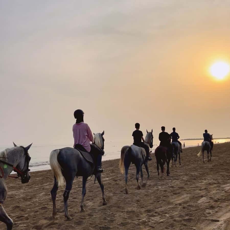Horse riding in muscat beach - The 1-Hour Ride: What You’ll Actually Do