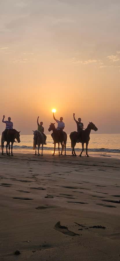 Horse Riding Muscat | Beach Horse Riding - Meet the guides, and why the vibe matters more than you think