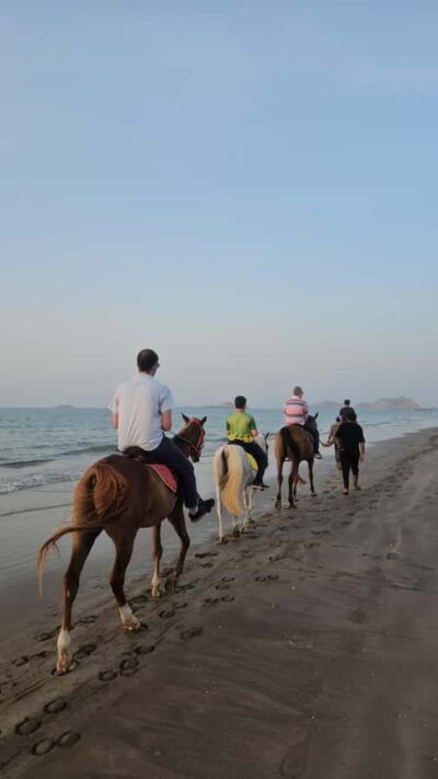 Horse Riding Muscat | Beach Horse Riding