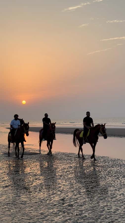 Horse Riding Muscat | Beach Horse Riding - Beginner-friendly, but read the limits before you go