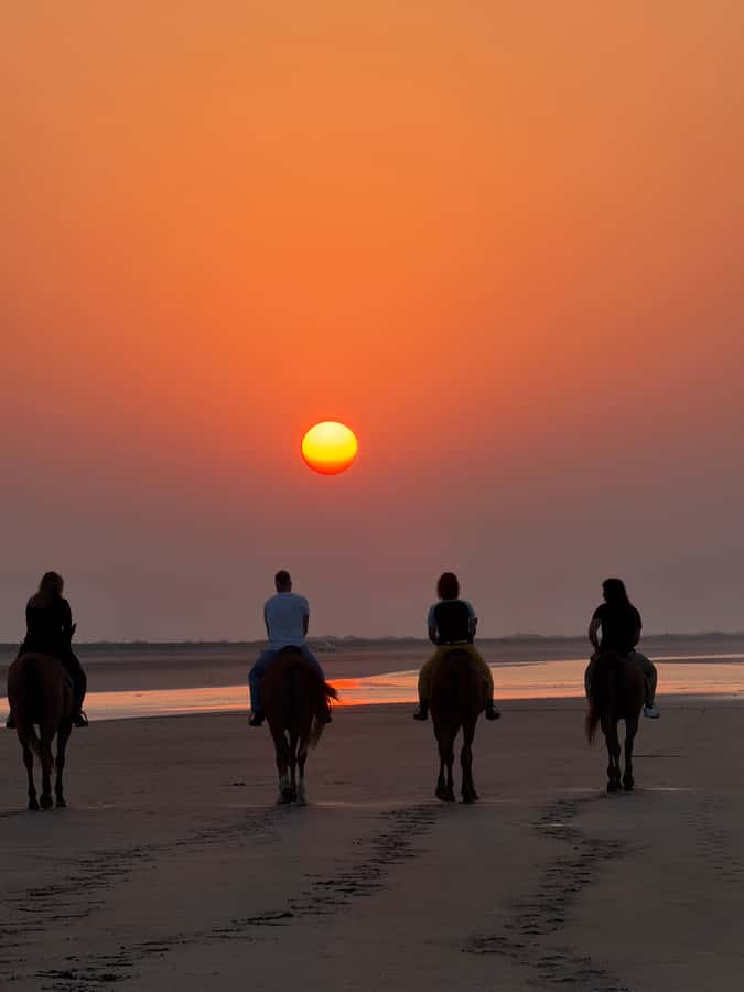 Horse Riding Muscat | Beach Horse Riding - Price and value: what $58 gets you in Oman