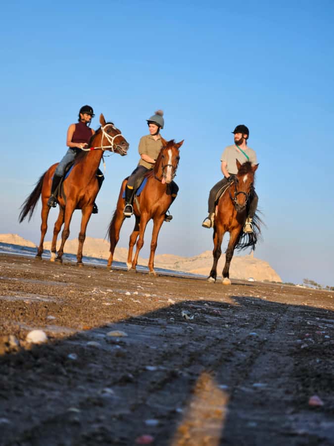 Horse Riding Oman - 2 hour ride - Getting Oriented at Al Sawadi Resort: Your First Chances to Feel Ready
