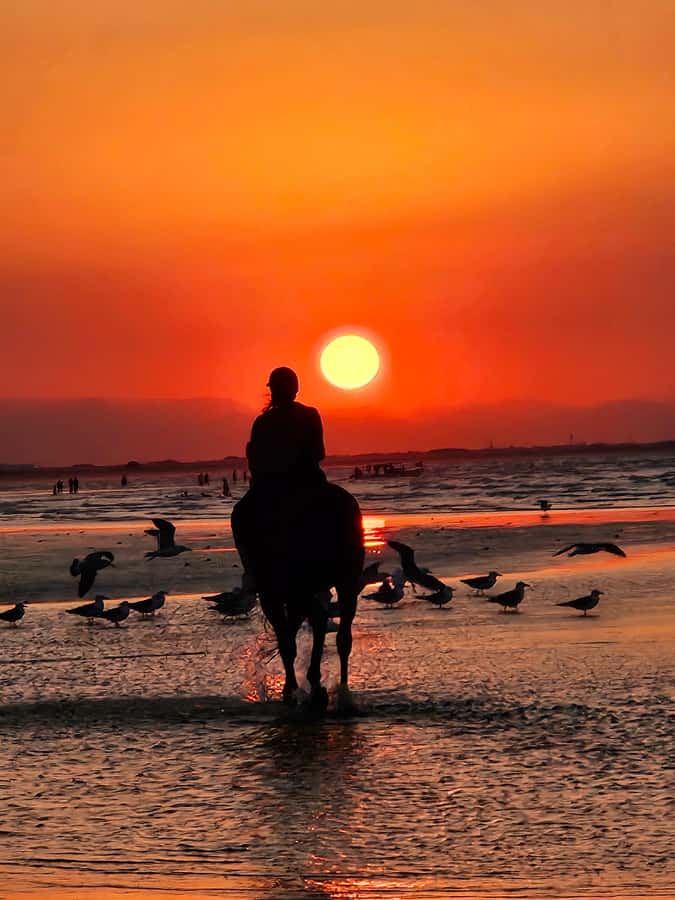 Horse Riding Oman - 2 hour ride - Sunrise vs Sunset: Why Timing Changes the Whole Feeling