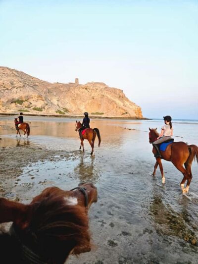 Horse Riding Oman – 2 hour ride