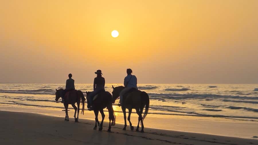 Horse Riding Oman - 2 hour ride - Who This Ride Fits Best (And Who Should Skip It)