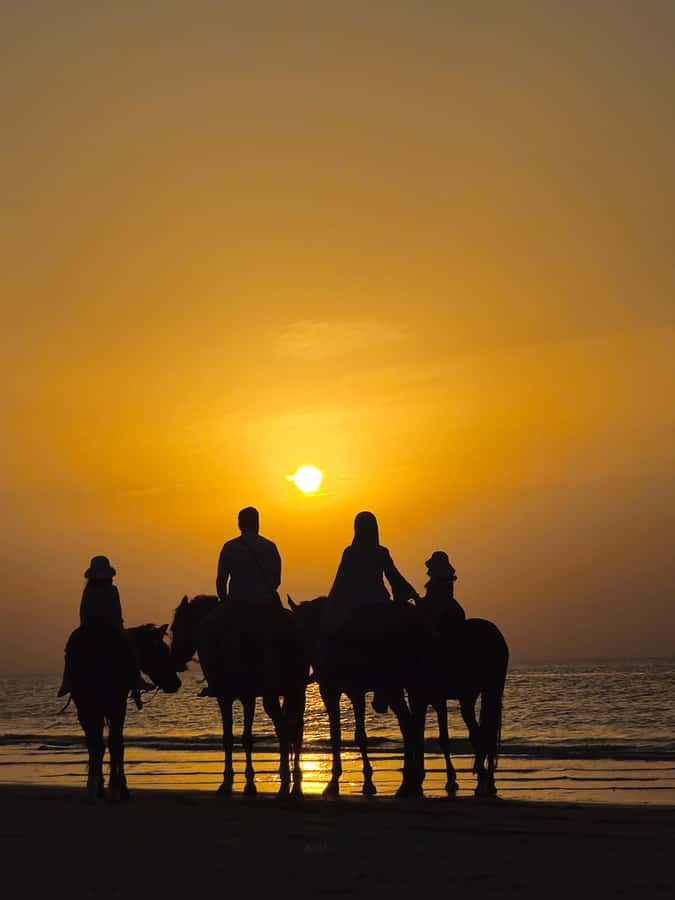 Horse Riding Oman - 2 hour ride - What to Bring, What’s Not Allowed, and Simple Ride Etiquette