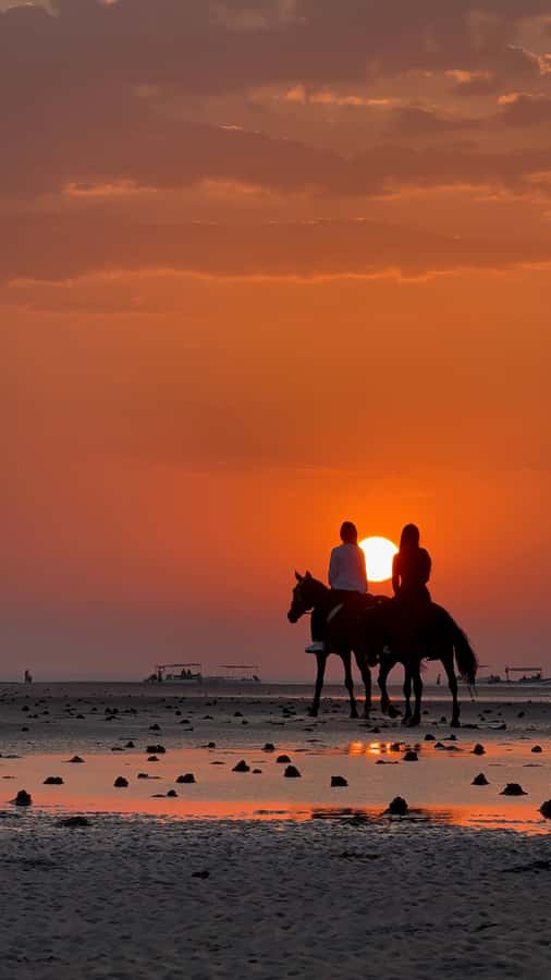 Horse Riding Oman - 2 hour ride - FAQ