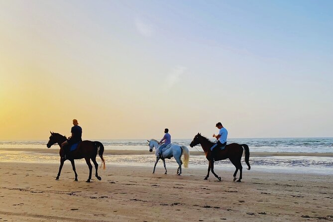 Horse Riding on the beach - Key Highlights You Should Care About
