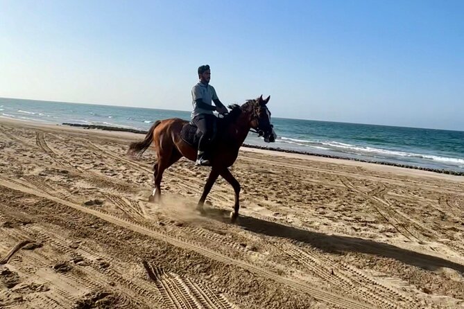 Horse Riding on the beach - Sunset on Horseback in Muscat, Not a Long Tour, a Perfect Moment