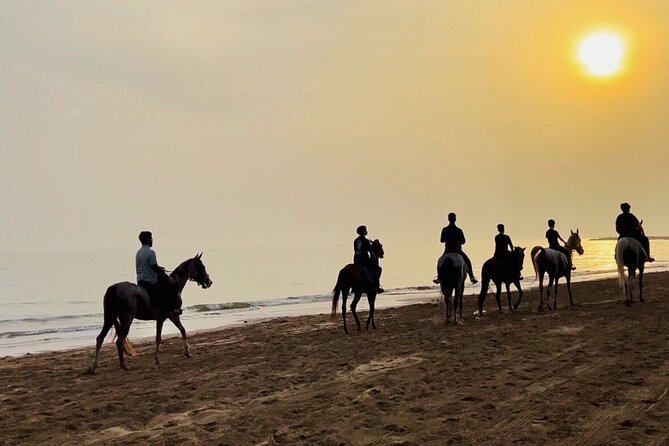 Horse Riding on the beach - Price and Value: Is $72 Worth It for a 1-Hour Ride?