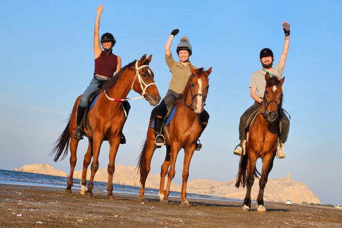 Horseback Riding Muscat Beach - Key Points You’ll Care About