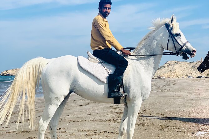 Horseback Riding Muscat Beach - Where You Start: Equestrain Suwadi Al Sawadi in Barka