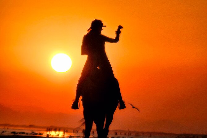 Horseback Riding Muscat Beach - Sunrise or Sunset on Al Sawadi Beach: When to Go