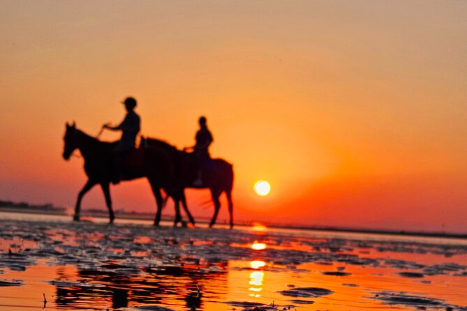 Horseback Riding Muscat Beach - Price and Value: Is $76.66 for One Hour a Smart Buy?