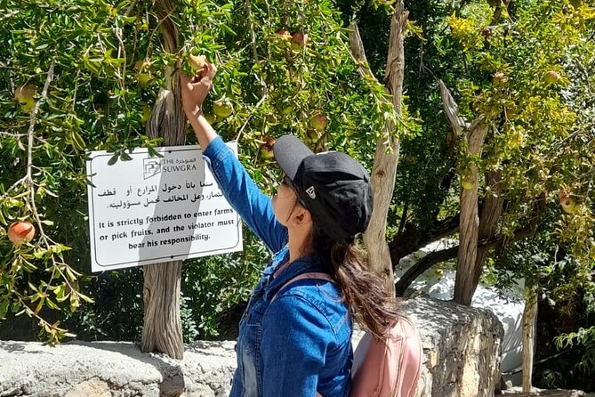 Jebel Akhdar Al Suwjara - Birkat Al Mouz Ruins - Private Full Day Tour - Key highlights in plain terms