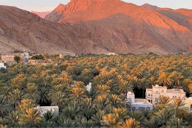 Jebel Akhdar Al Suwjara - Birkat Al Mouz Ruins - Private Full Day Tour - Who should book this tour, and who should skip it