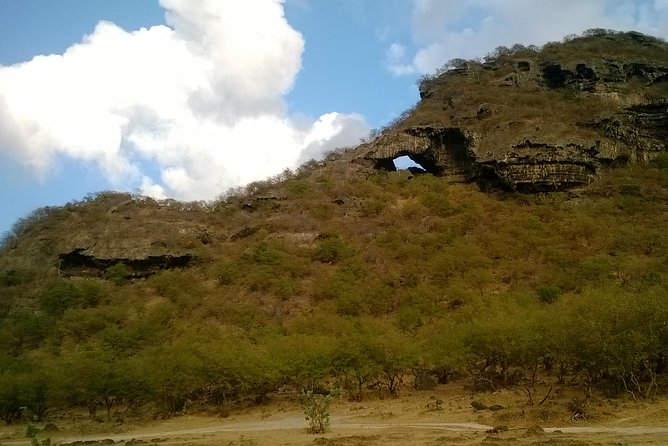 Jebel Safari - Tour della montagna - A Half-Day Route Through Salalah’s Caves, Lagoons, and Leopard Country