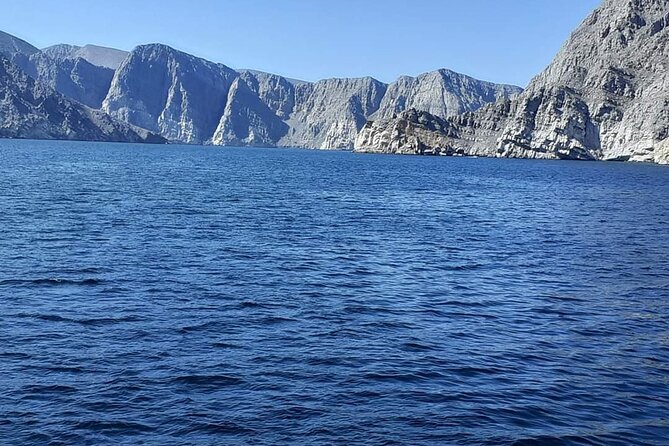 Khasab Dhow cruise-Half day with summing, dolphin watching - Dolphins in the Musandam Sea: How the Watching Works