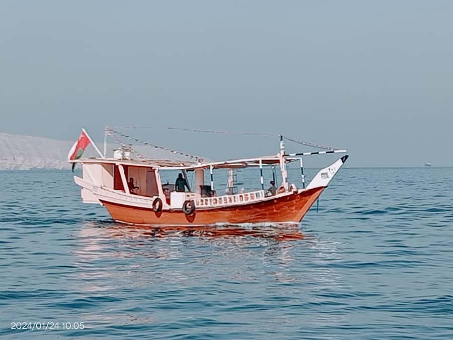 Khasab: Dhow Cruise with Lunch, Dolphin Watching& Snorkeling - Telegraph Island swim and snorkel: fish right by the boat