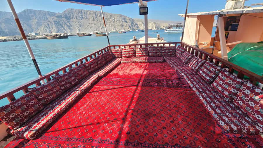 Khasab: Half-Day Dhow Cruise, Dolphin Watching, & Snorkeling - Price and value: what $37 buys on this half-day water day