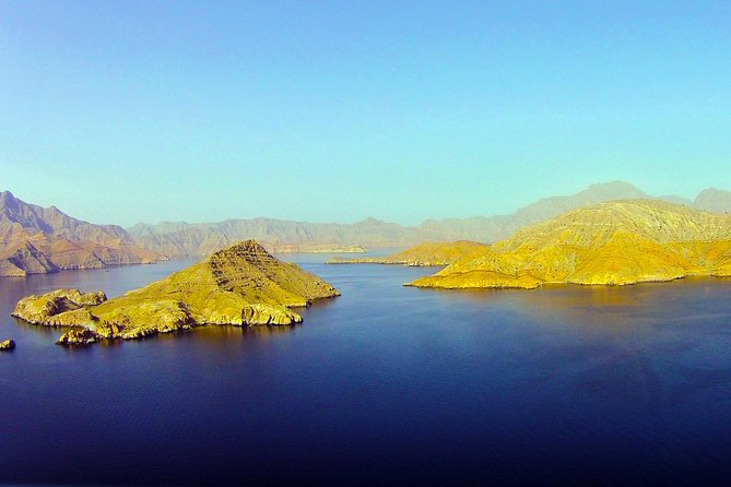 Khasab Musandam Full day dhow cruise - Dolphins: How to Think About the Chance of a Sighting